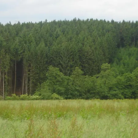 Dağ evi Chalet Beffe Rendeux